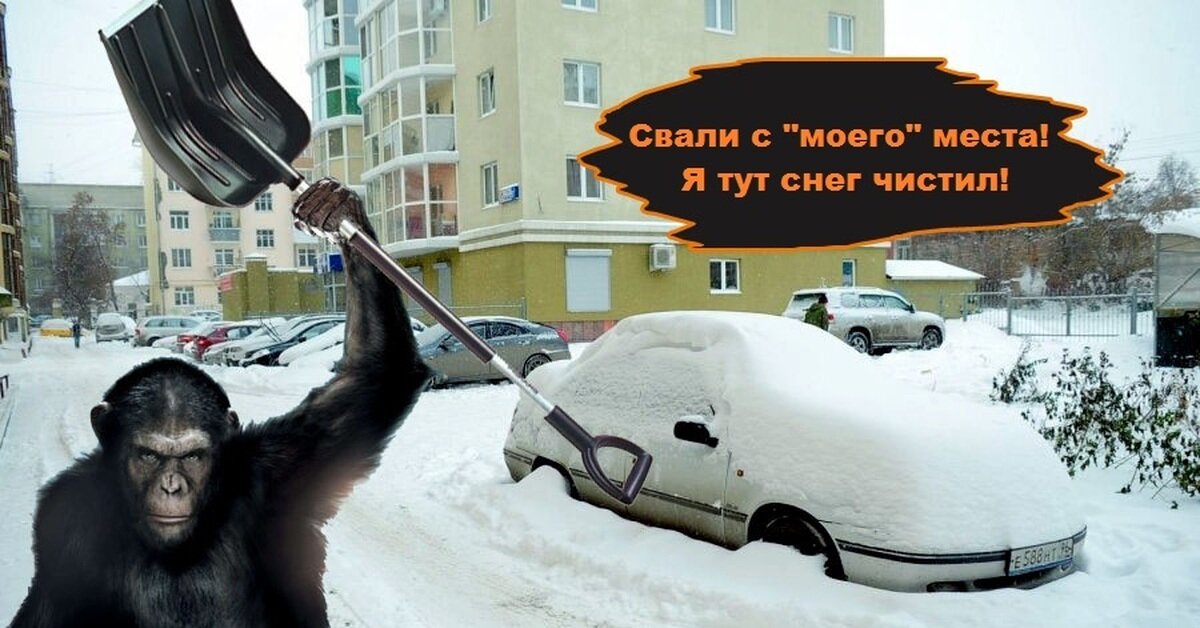 Где мое место картинки