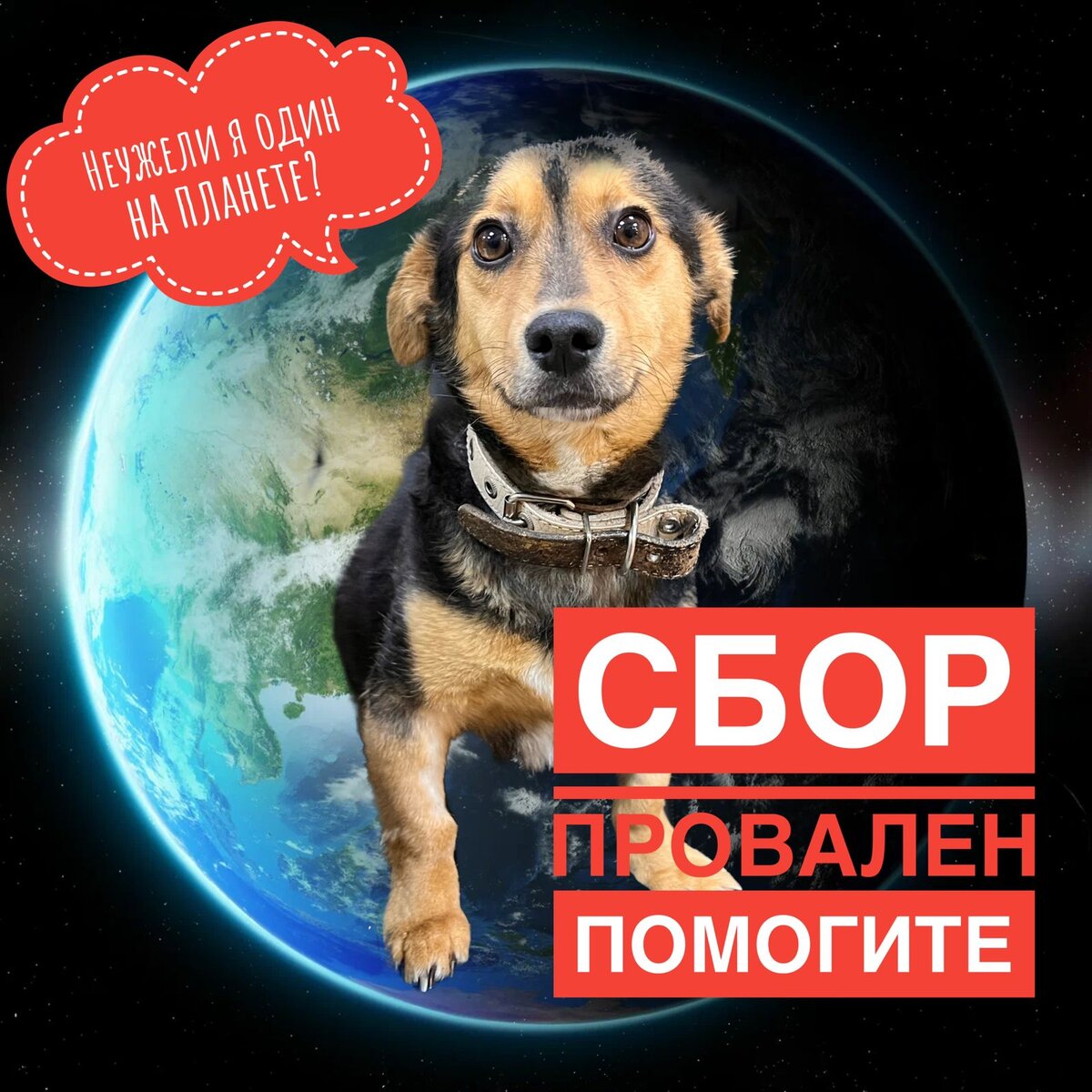 Нужна помощь добрых людей