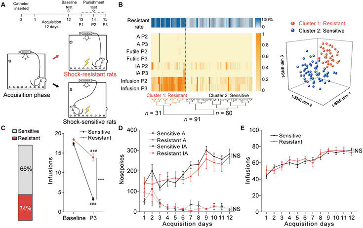   Yang Chen et al. / Science Advances, 2022