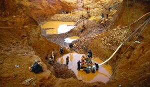    Фото: jewellers-art.ru Дарья Рубайло