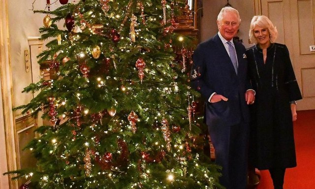 Фото из сети Интернет