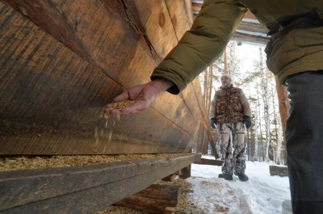   Департамент информационной политики губернатора Свердловской области