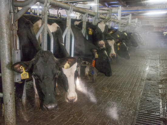     Фото: архив ПЛН