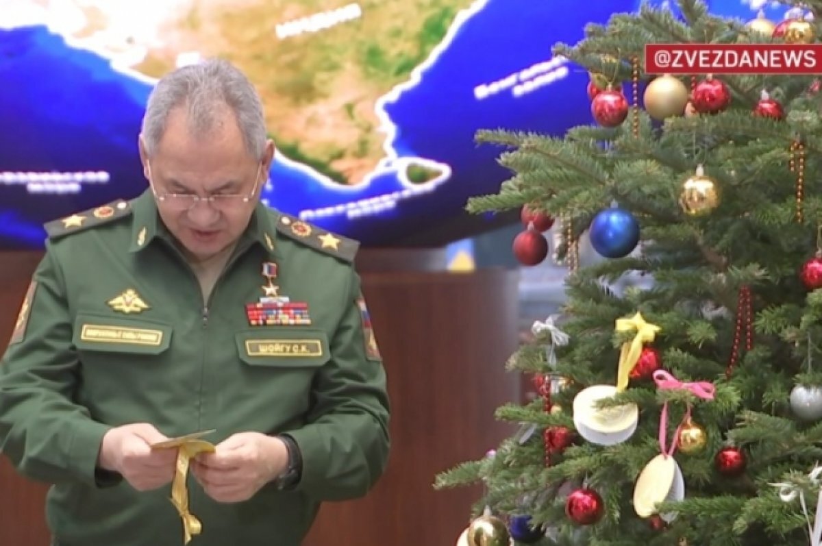    Шойгу пообещал исполнить новогоднее желание девочки из Удмуртии