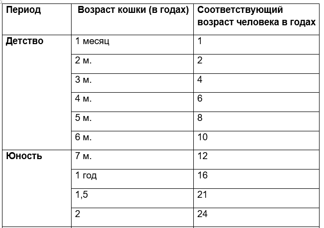 Кошачий возраст по человеческим