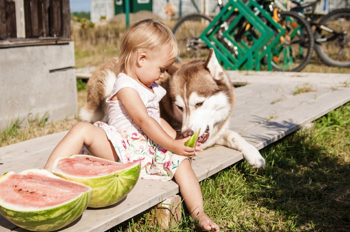 Дают арбуз? Ешь арбуз!
