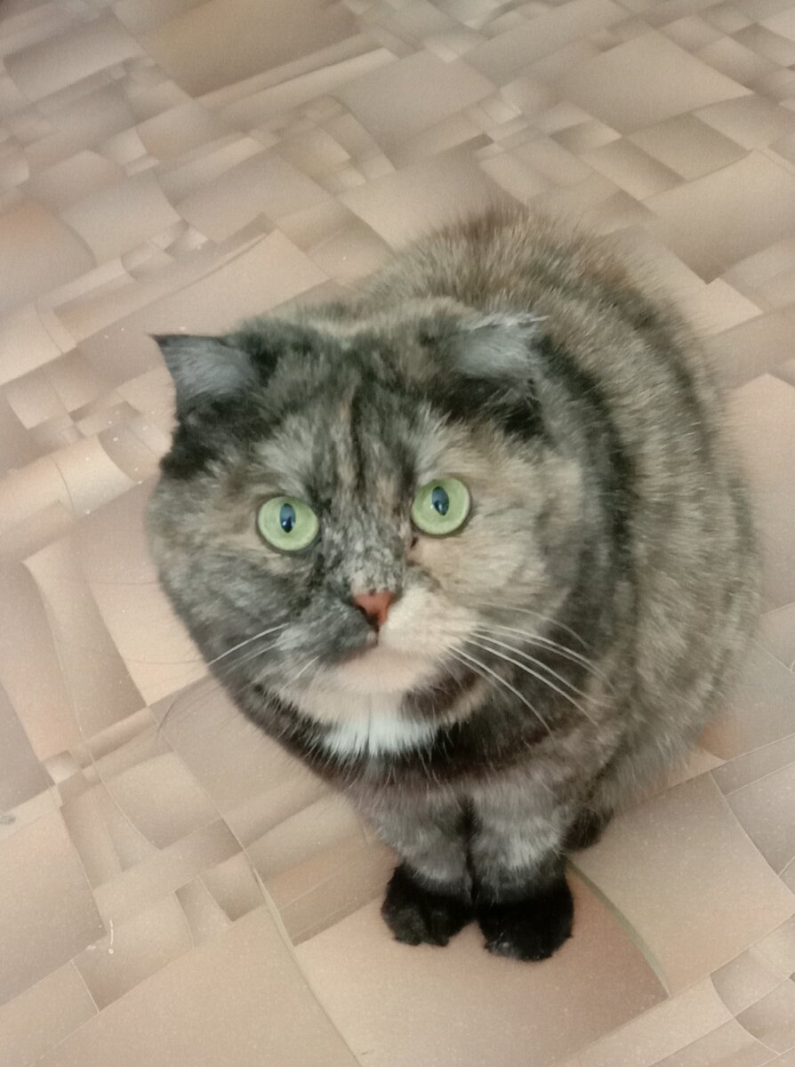 Фото автора. Просто Буся