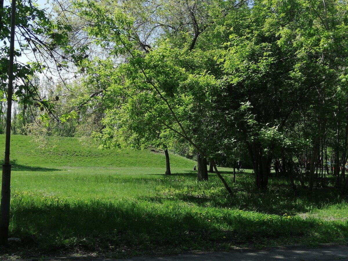 Фото автора. Мой зелёный город