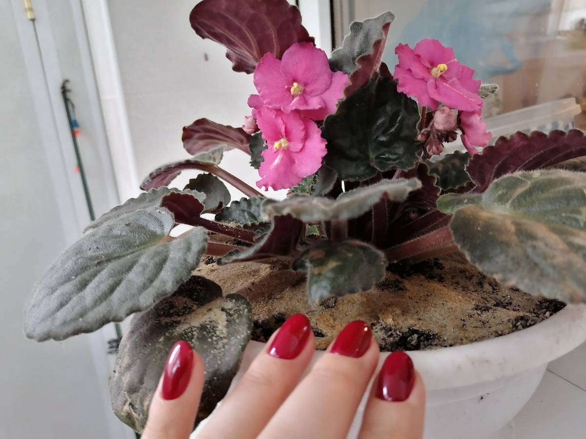 Фото из личного архива автора