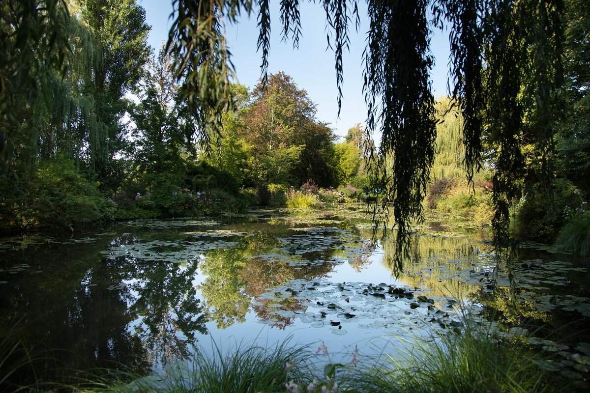 Фотограф в Париже Дмитрий Финько