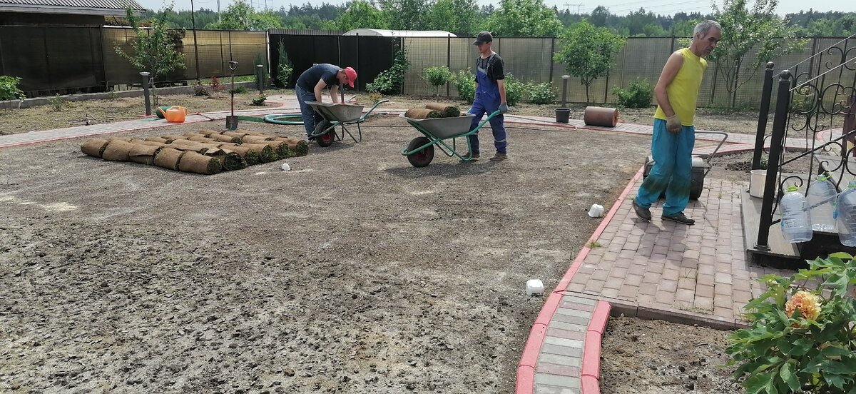 Разносим рулоны