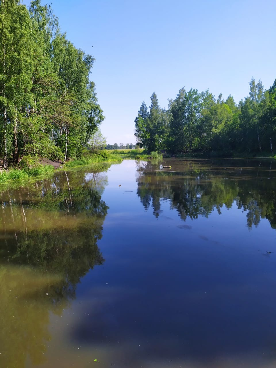 Река охта санкт петербург. Охта река в Энколово. Устье реки Охта. Исток реки Охта. Охта (приток Невы).