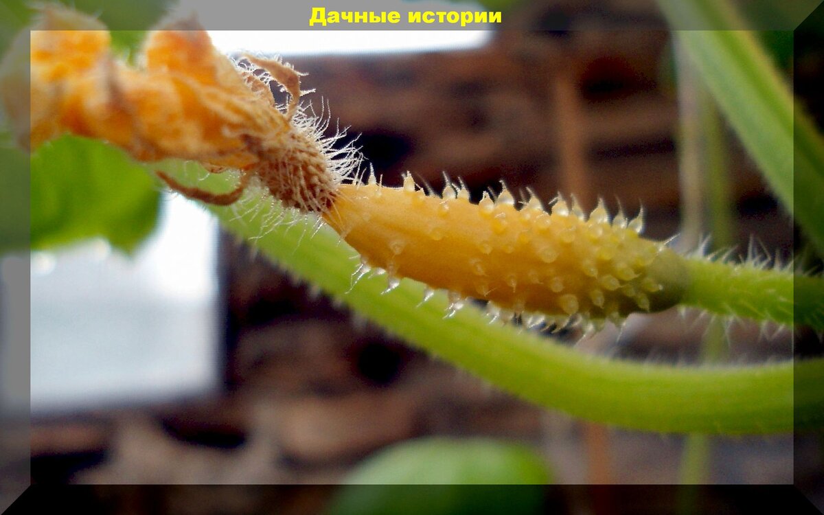 https://vk.com/photo-159774511_457243934