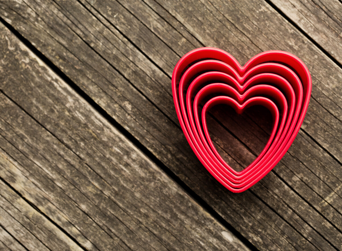 фото из открытых источников