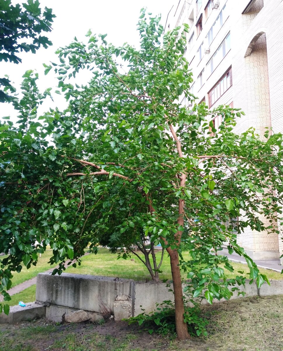 Фото автора статьи, листайте галерею с фото