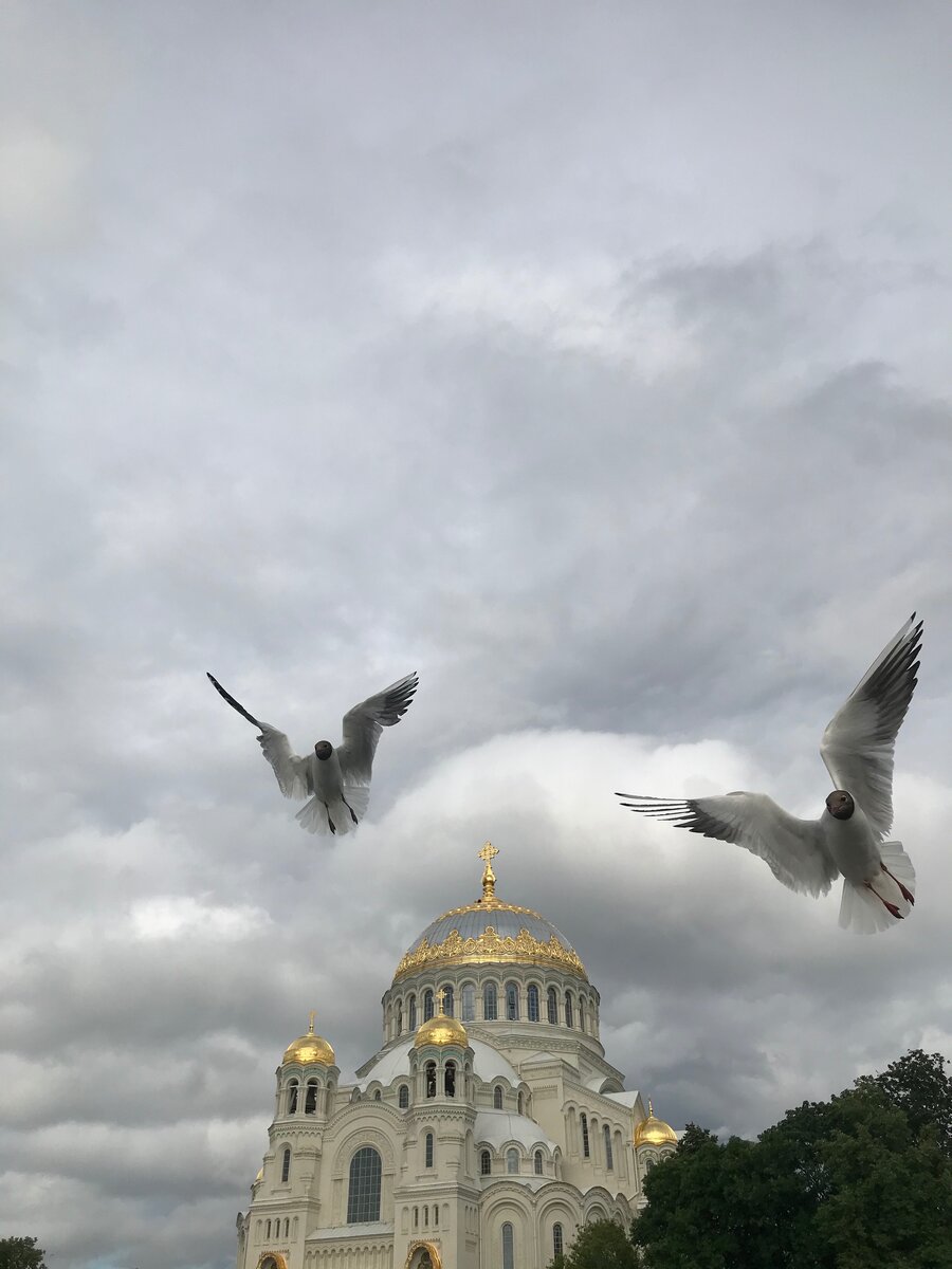 Господь мой и Бог мой!