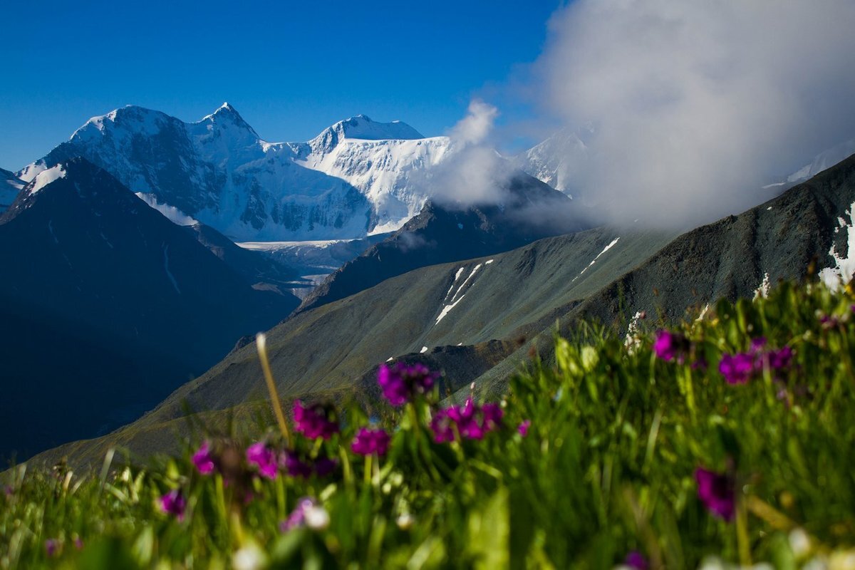 Алтай белуха фото