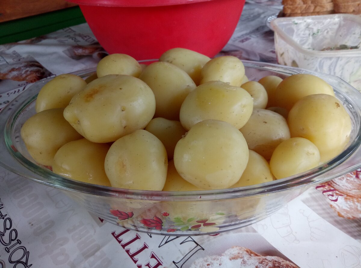 Картошечка, своя, родная...