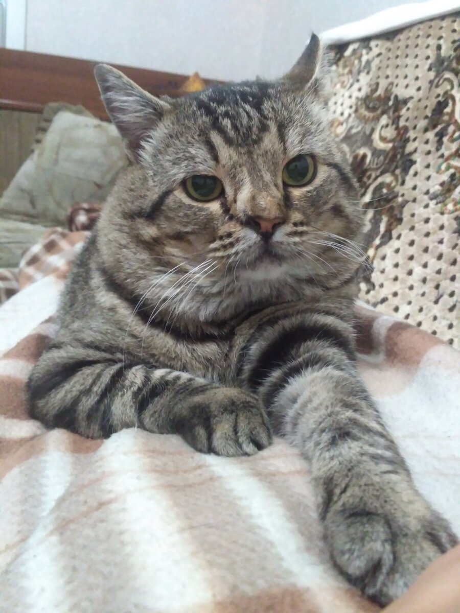 ну, как бЭ фото не из машины, но тут его взгляд соответствует повествованию))