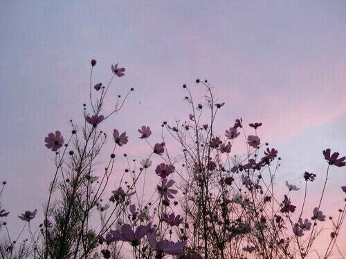 Довольно часто слышу слова "Я не идеален" или "Мне далеко от идеала". Но часто ли мы задумываемся о том, что такое "идеал" и существует ли он вообще. Знаете, ведь не существует идеала красоты, идеала человека, его просто нет! У каждого человека есть стандарт красоты, каким он должен быть, и все думают, что вот он - идеал. А людей, которые не соответствуют каким-то "стандартам", большая часть общества почему-то её понимает и не редко унижает и оскорбляет. Боже мой. Это ужасно, что в современном мире, в 21 веке, человека могут унижать за все, что угодно, за национальность, цвет волос, телосложение, это ужасно. Мы все люди и у всех нас есть достоинства и недостатки, и оскорблять кого-то за то, что он не соответствует вашему стандарту красоты, просто глупо и, я считаю, бесчеловечно. В 21 веке людям нужно научиться уважать друг друга, и, наконец, понять, что все мы индивидуальны и все мы красивы по-своему!