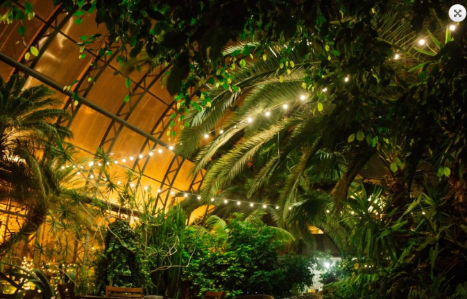 Фото с сайта оранжереи