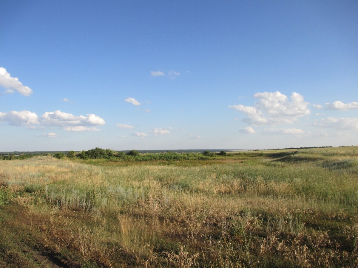 Погода волгоградской село вязовка. Вязовка Волгоградская область. Вязовка Ульяновская область. Деревня Вязовка. Косая степь Вязовка.