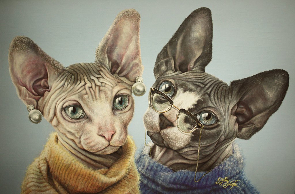 Характеры  Донских и Канадских сфинксов. 