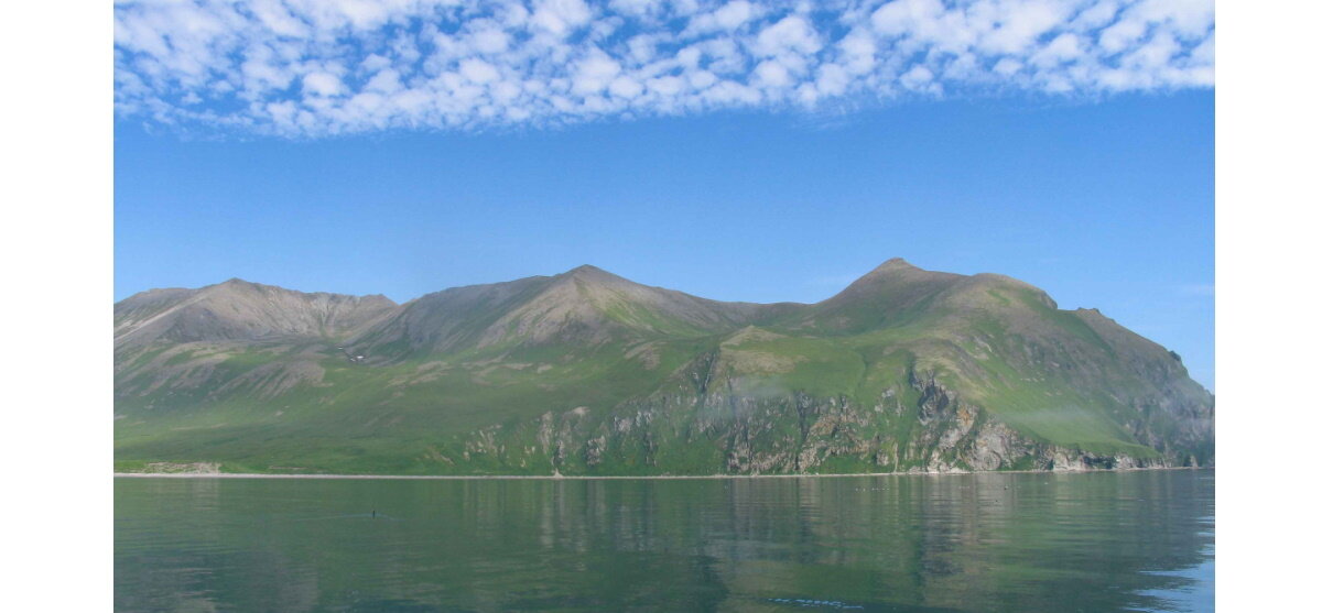 Командорские острова (фотография О. Сердечникова)