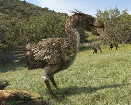 Они уже своим видом меня раздражают. 