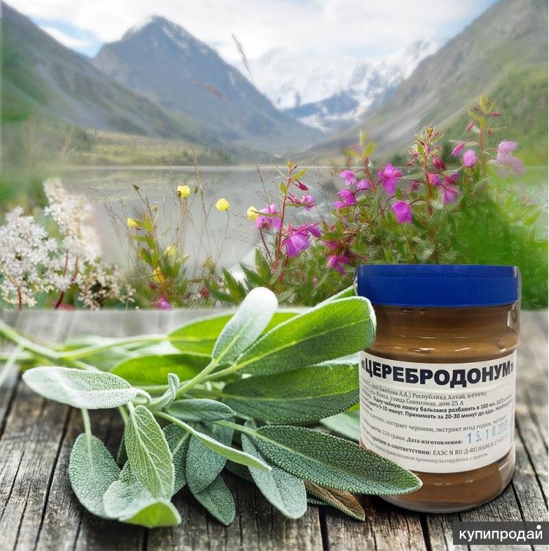 Источник Здоровья.