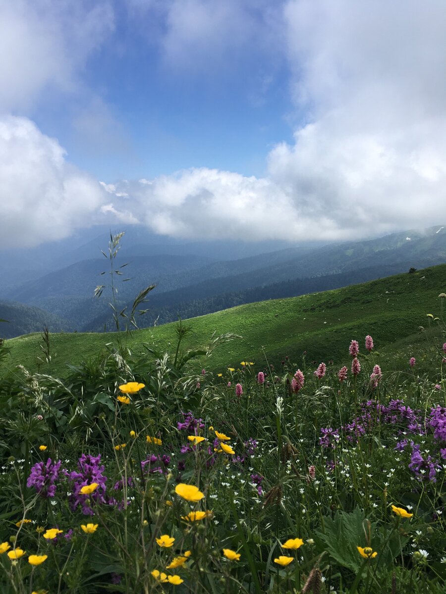 Кавказский биосферный заповедник