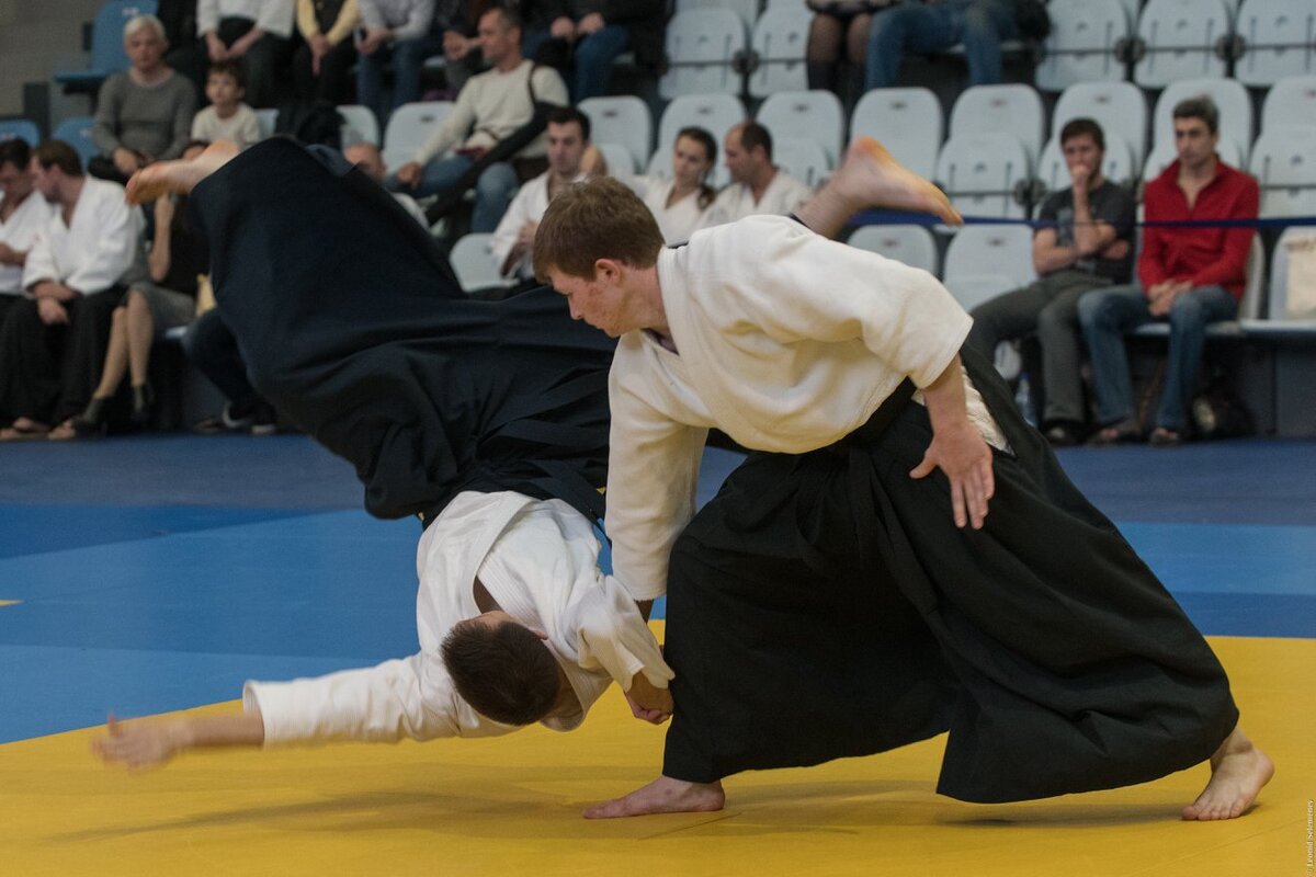 Que significa aikido