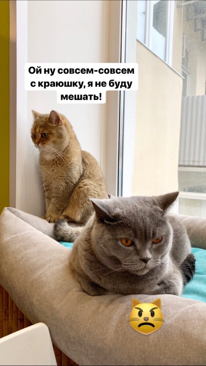 Этап второй: ну чуть-чуть задержались, мимо пробегая, с кем не бывает