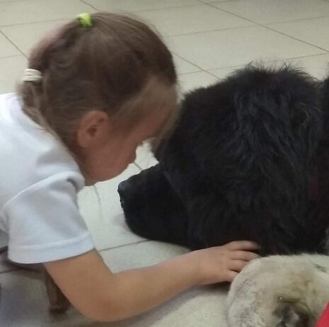 Канистерапевт за работой