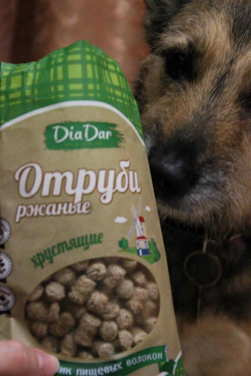 личное фото автора канала 