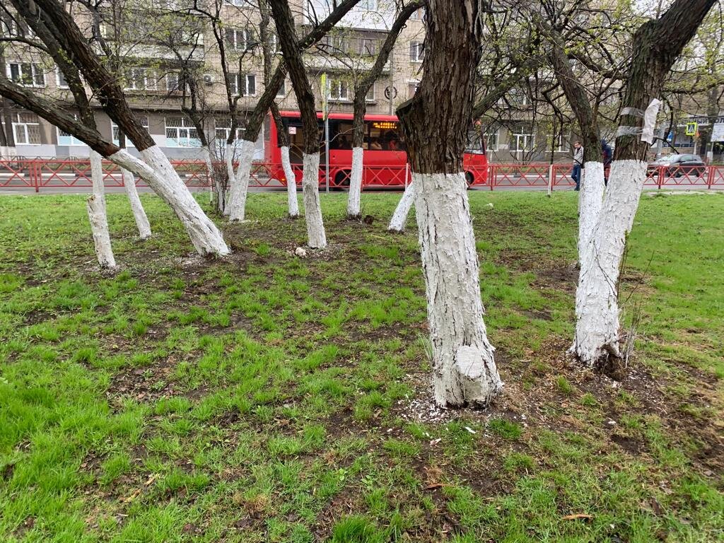 Использование несмываемой водоэмульсионной краски: преимущества и рекомендации