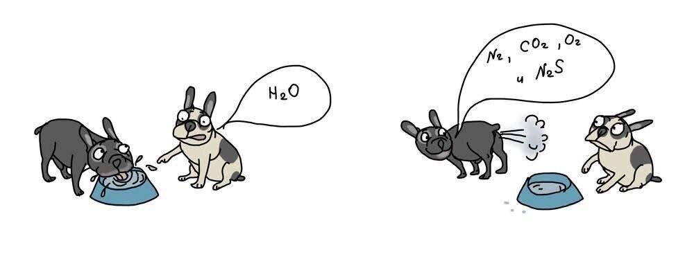 Рисунки Ольги Гоноровской 