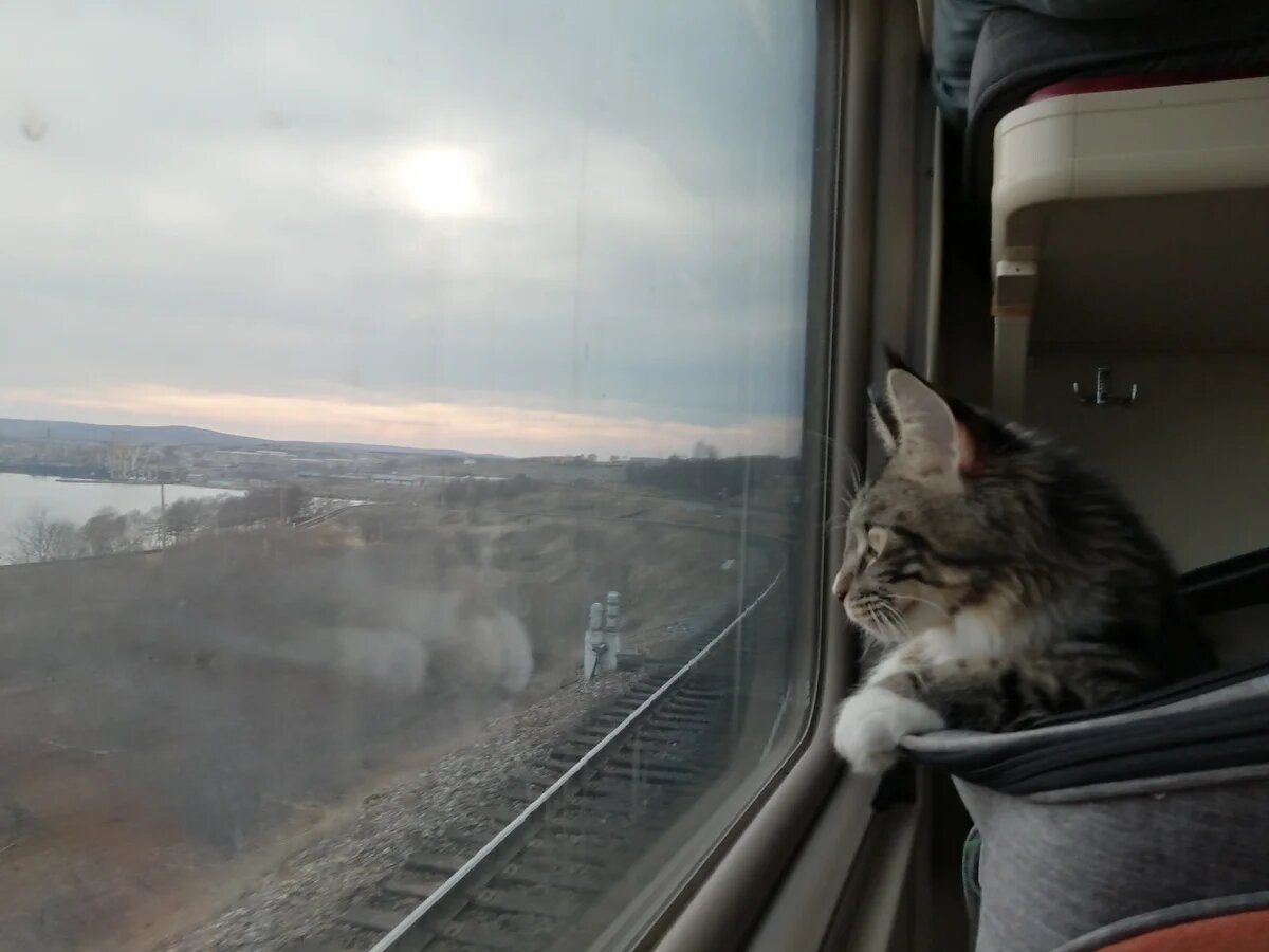 Поезд Ванино-Тулучи