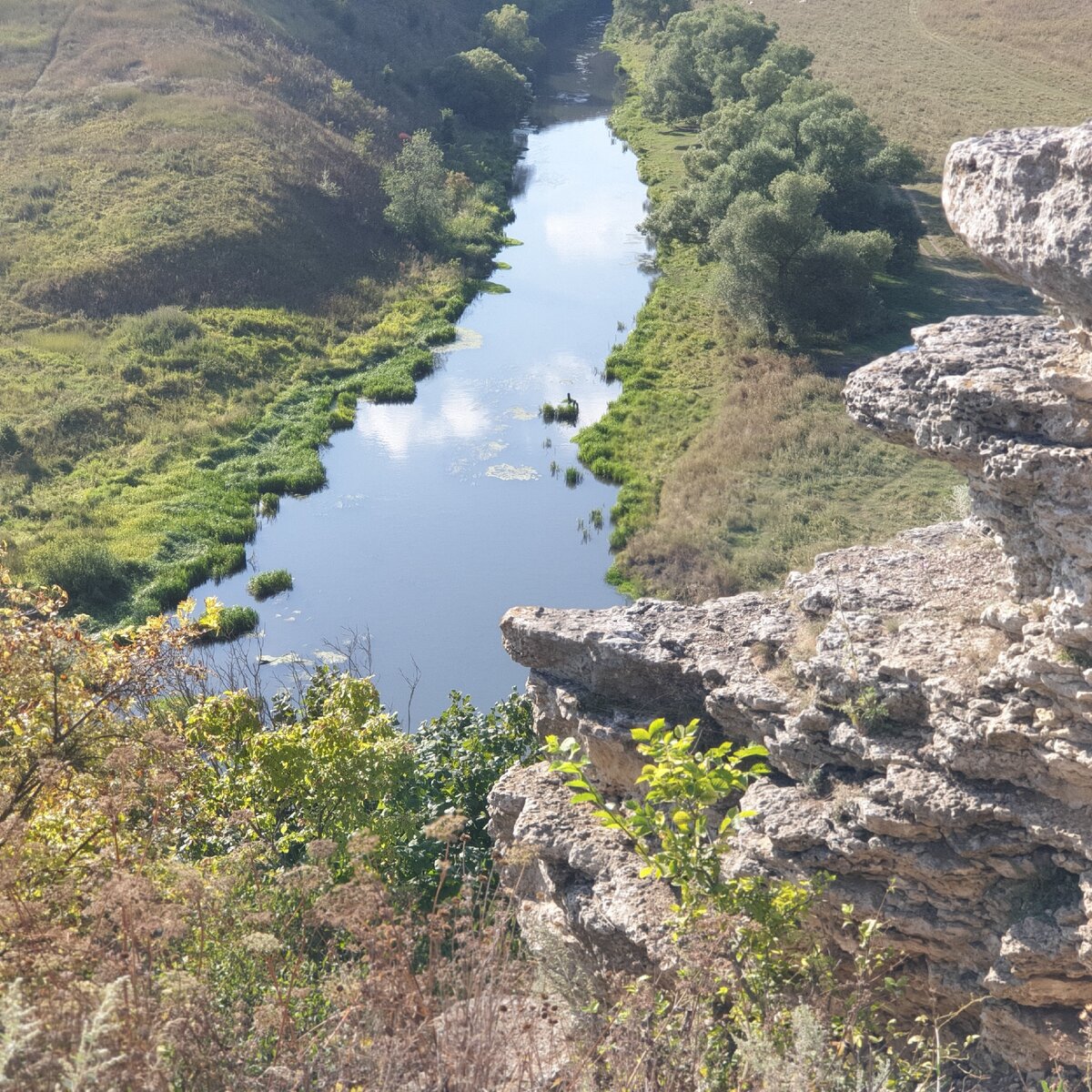 Воргольские скалы в липецкой области фото