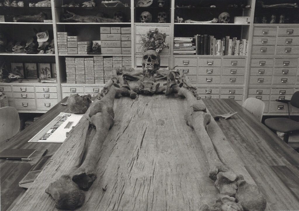 Измерение всего скелета занимает очень много времени (Rijksdienst voor het Cultureel Erfgoed / CC BY-SA 4.0).