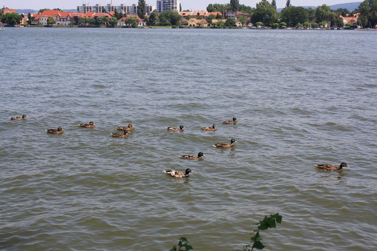 Фото из архива 