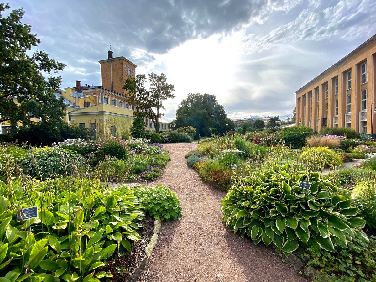 Начало сентября. 