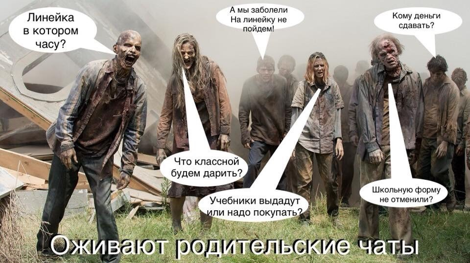 Типичный родительский чат 31 августа каждого года