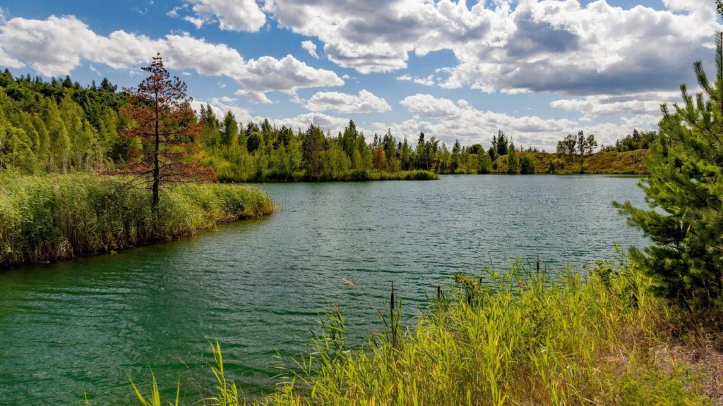 Курское озеро. Голубое озеро Железногорск Курской. Озеро Железногорск Курская область. Разноцветные озера Железногорск. Голубая Лагуна Железногорск Курская область.