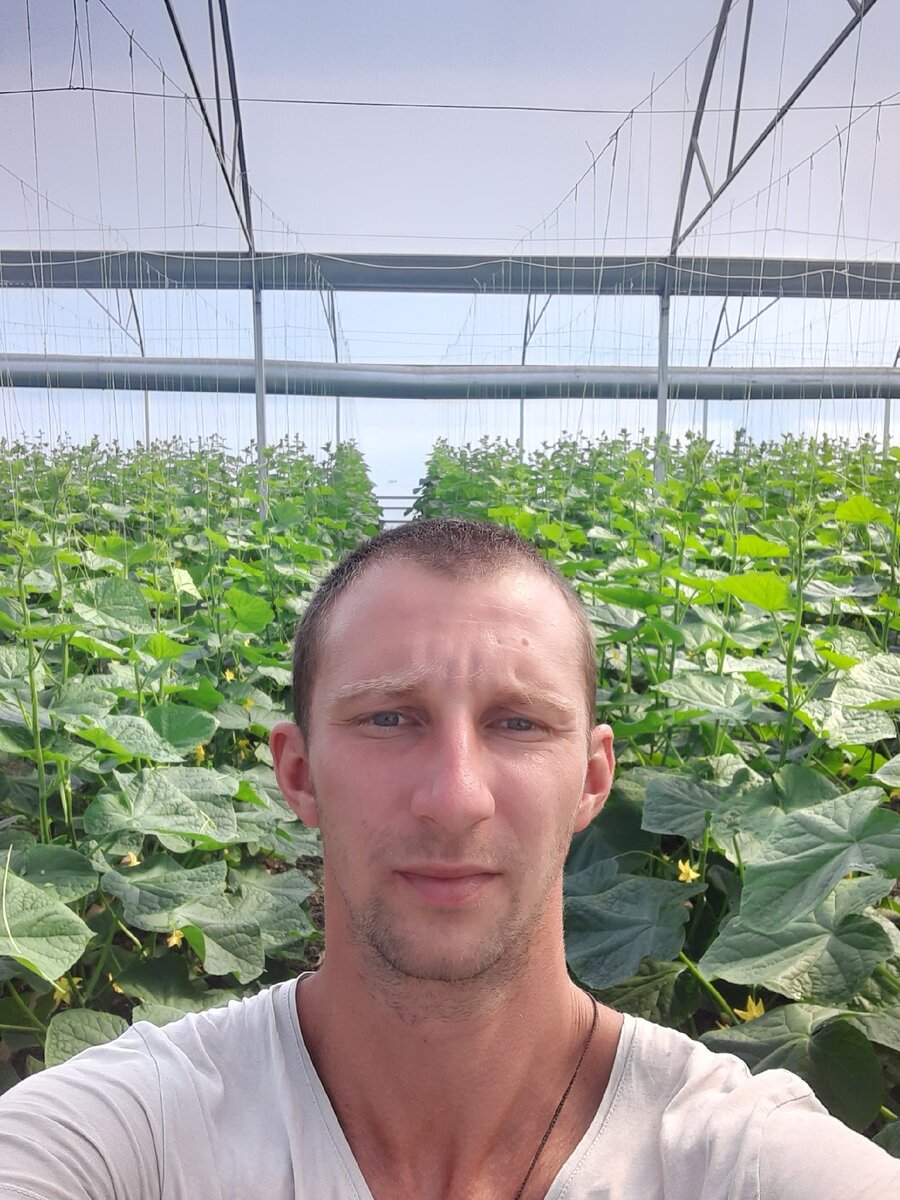 Это я на фоне нынешнего осеннего оборота