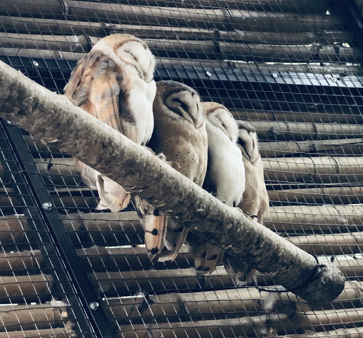 Ждем повышение зарплаты 