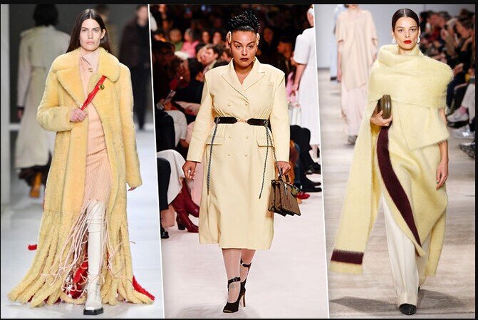 Bottega Veneta \ Fendi \ Jil Sander
