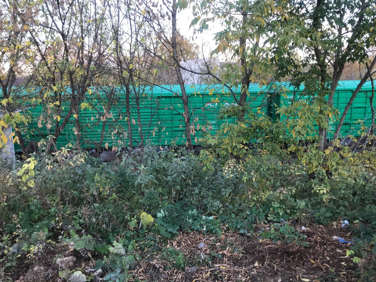 Грустями в ожидании погрузки/разгрузки вагоны в тупиках, видимых со стороны нужного мне подъездного пути. 