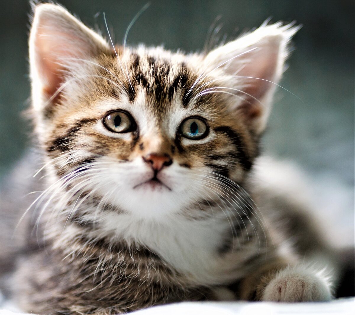 Да я же тебя люблю!