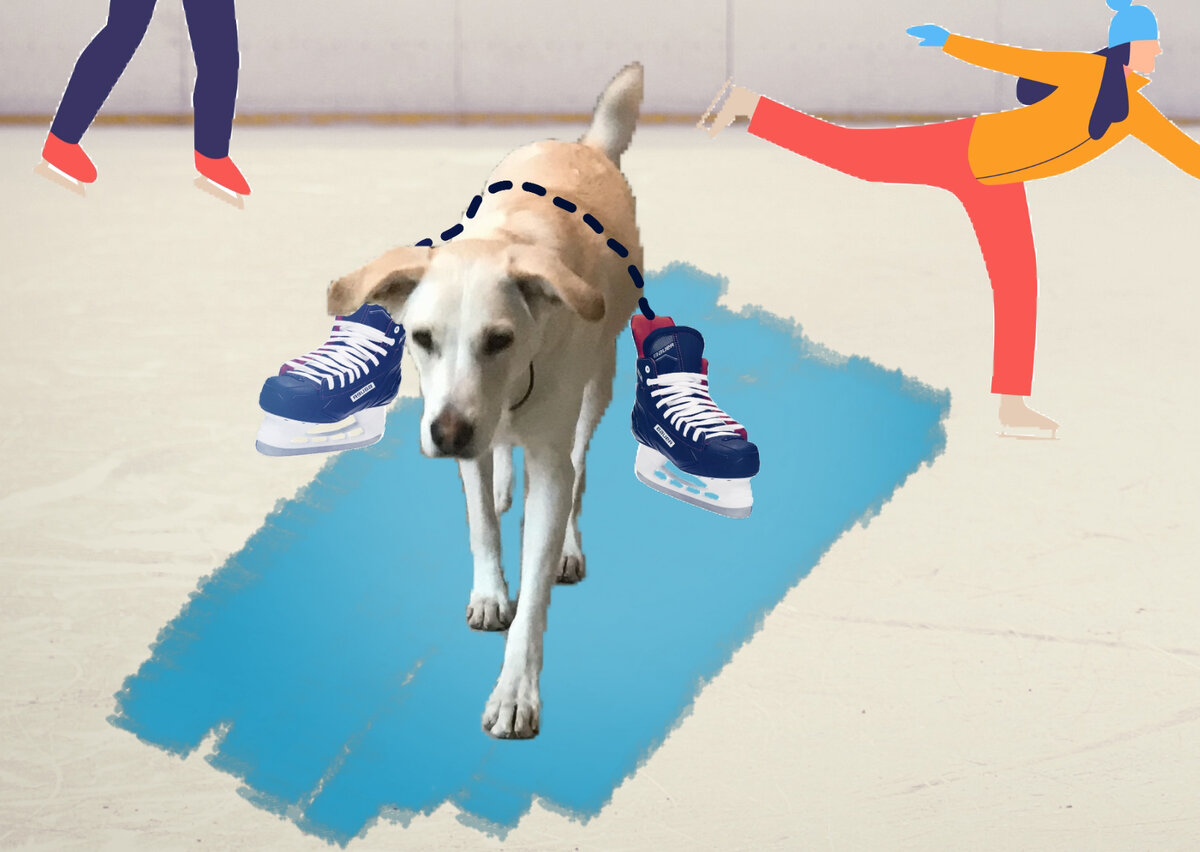 Картинки для иллюстрации взяты из сети Интернет